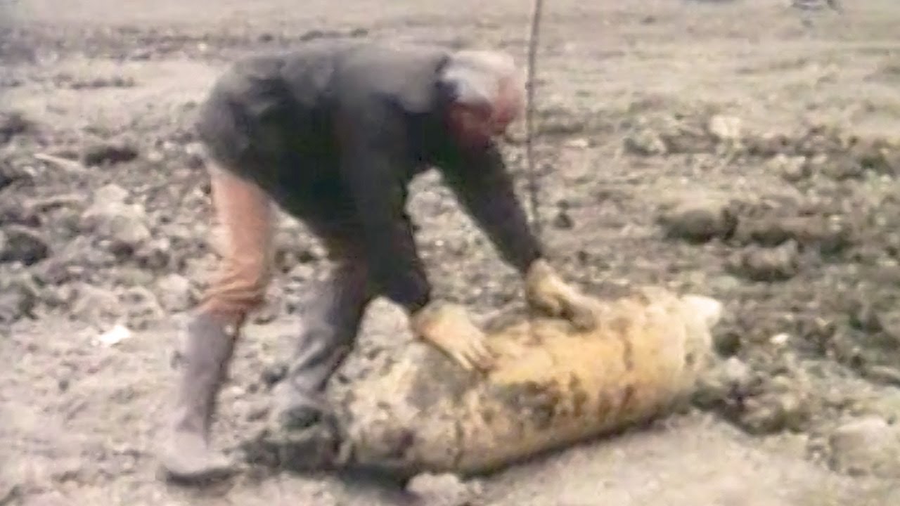 Disinnescare una bomba: il racconto e le immagini reali