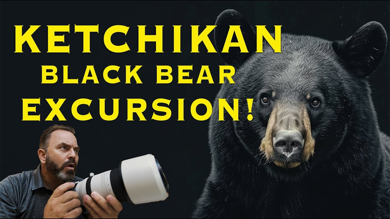 Thrilling KETCHIKAN EXCURSION: Alaska's Black Bears!