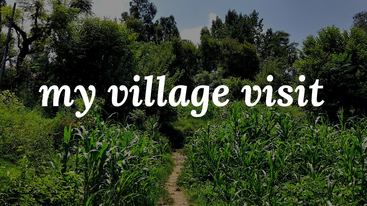 My village visit | vlog#2 | Sherwan Abbottabad.