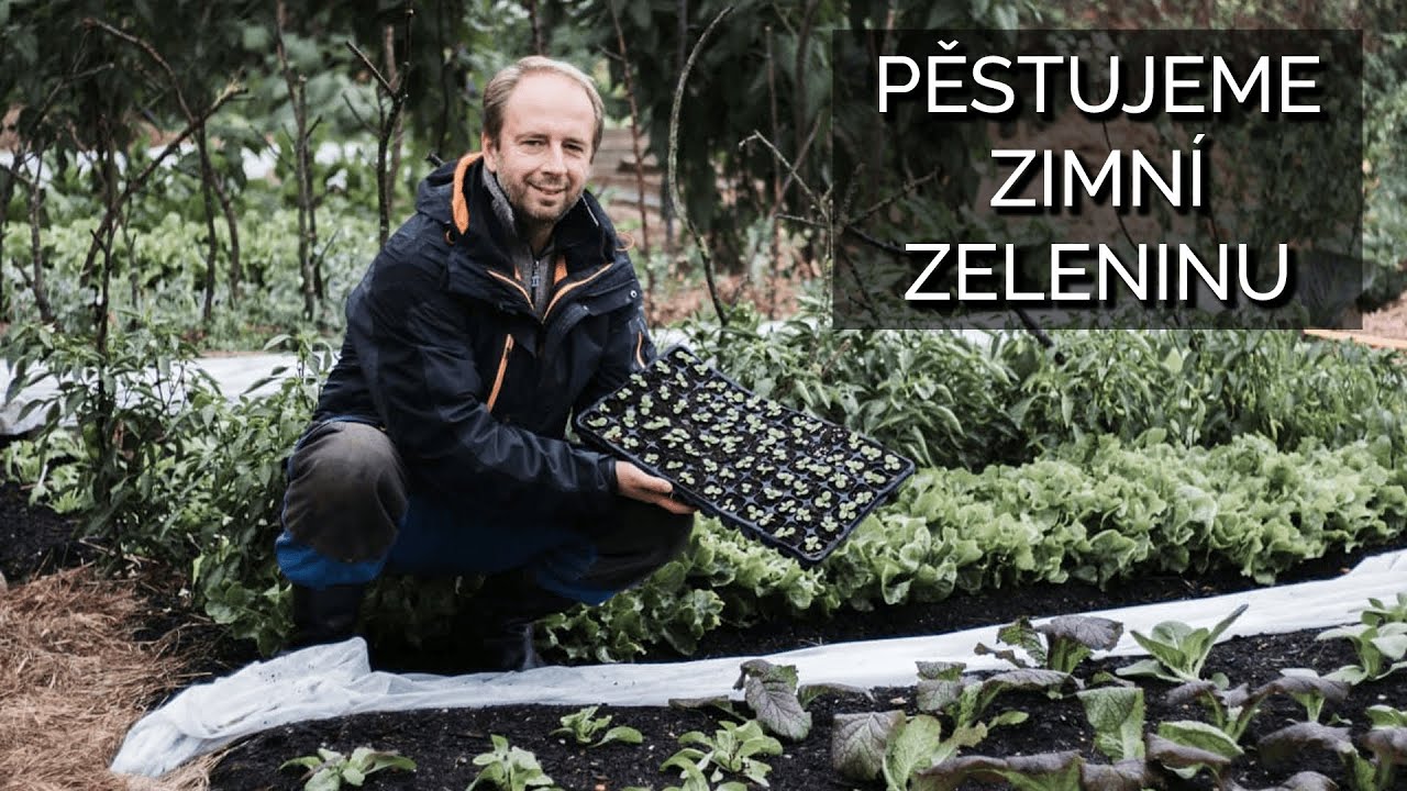 Pěstujeme zimní zeleninu I.