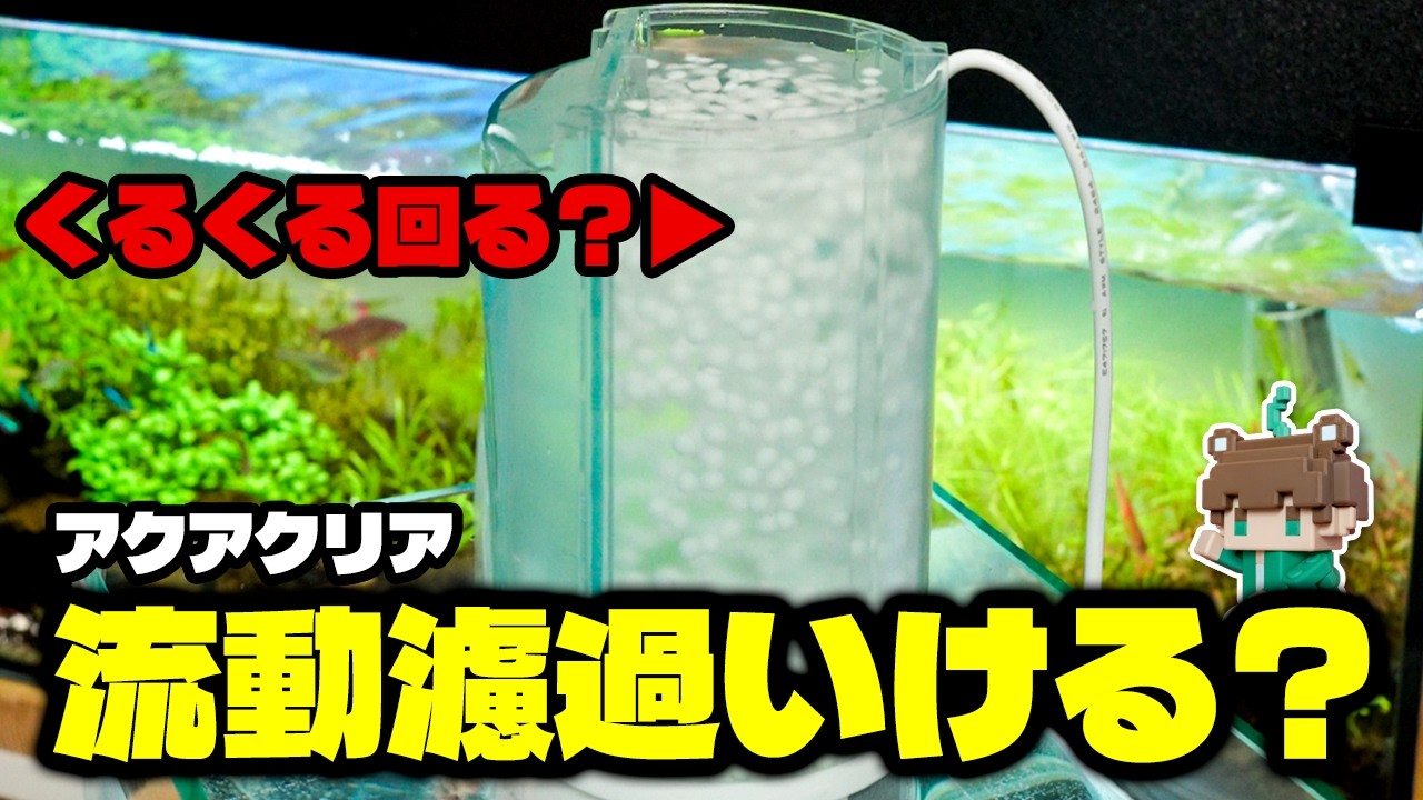 GEXアクアクリアに流動濾過材を入れると…？ポンプケースが固くて外れない場合の解決方法【ビバアクア】#アクアリウム #熱帯魚