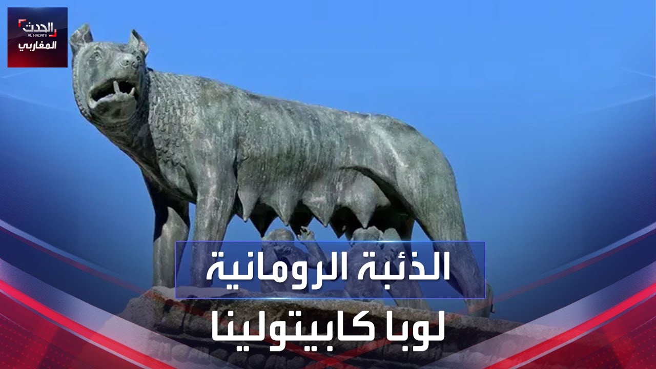 هذه قصّة الذئبة لوبا كابيتولينا في ليبيا؟