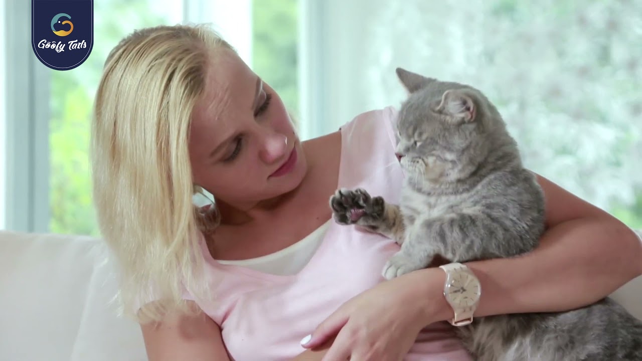 Cat H2O   Fresh & filter water for healthier cats