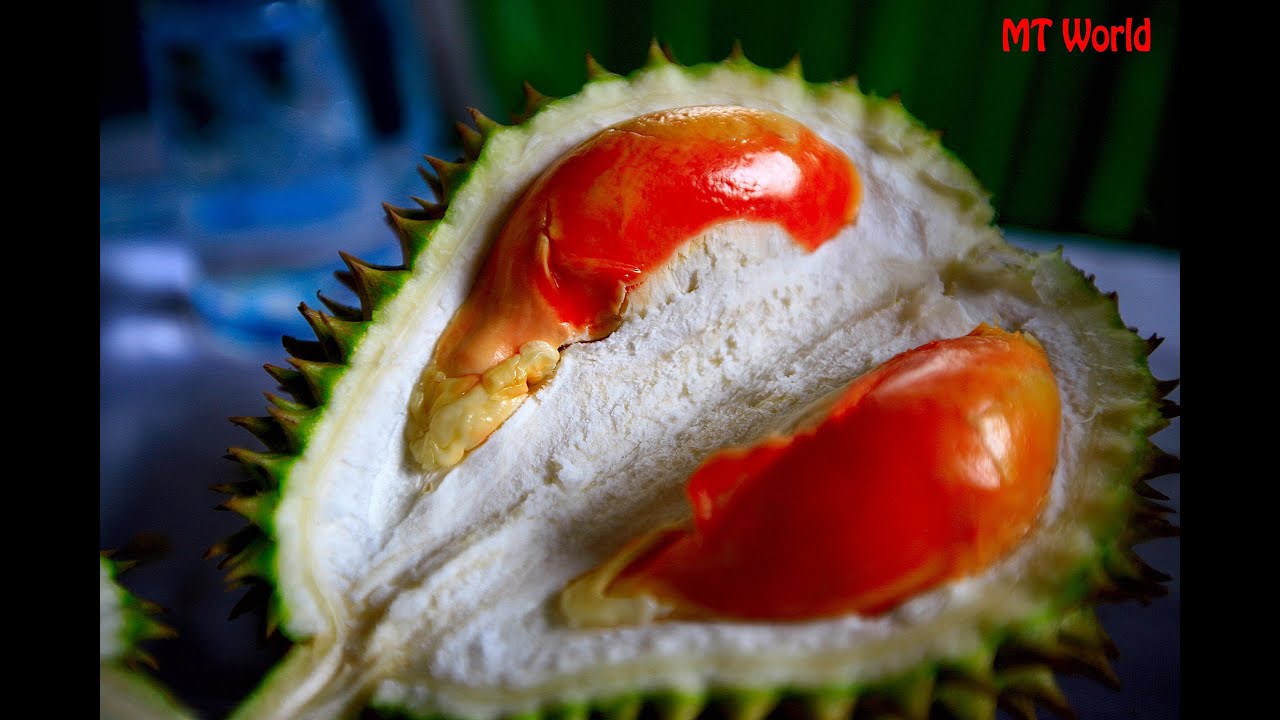 Red Durian Contest Banyuwangi Indonesia