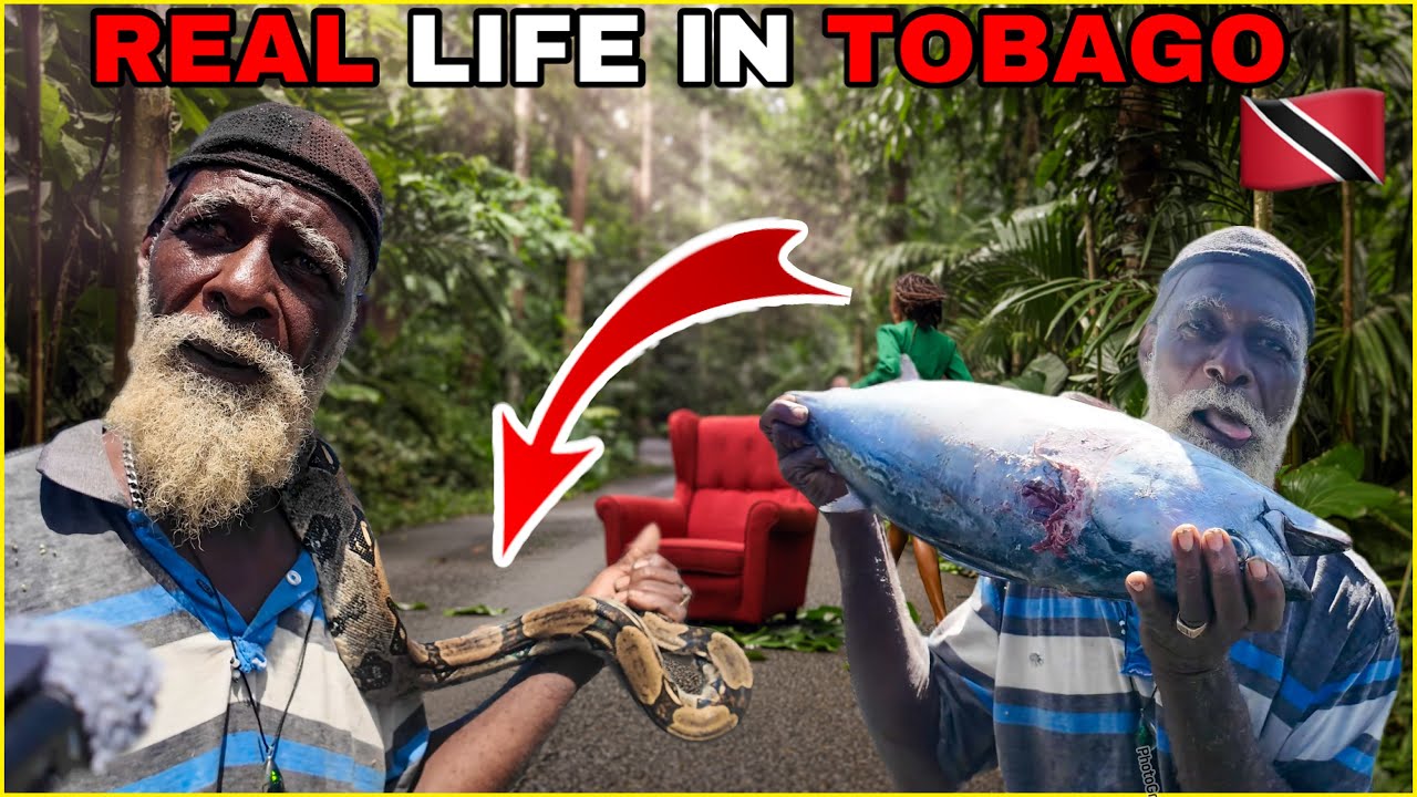 UNBELIEVABLE !! Village Life In Tobago 🇹🇹 # Trinidad and Tobago