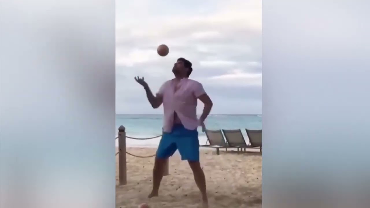 videos graciosos que muestran los momentos más bellos y divertidos