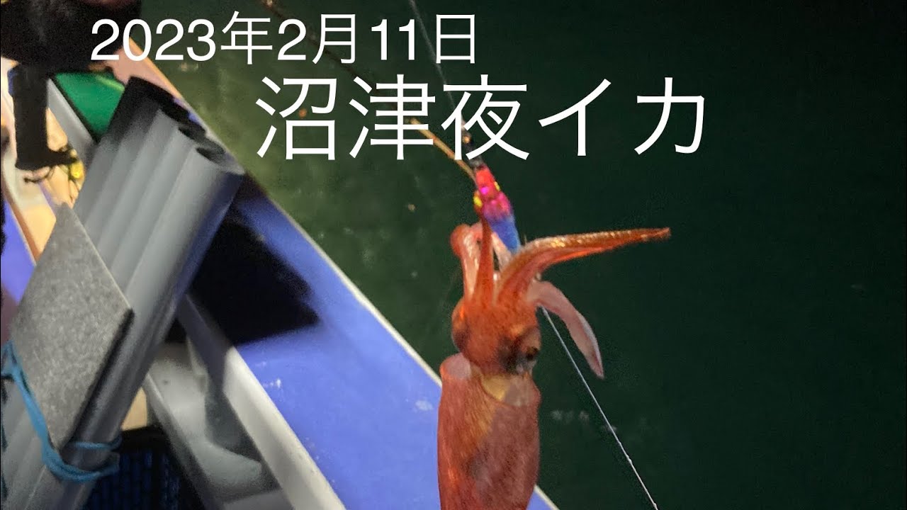 沼津夜イカ釣り 2023年2月11日