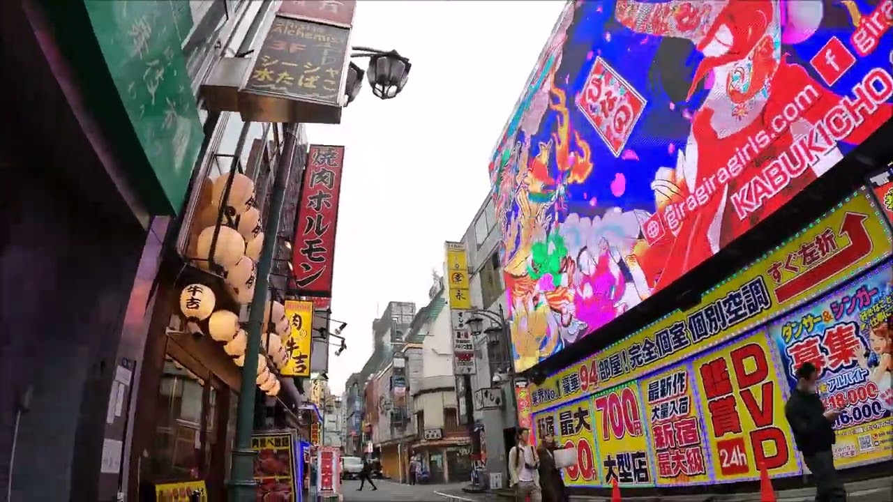 Japan Walking Tour - Tokyo