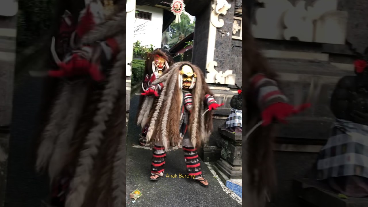 Barong Macan celuluk Rangda dari Tinungan