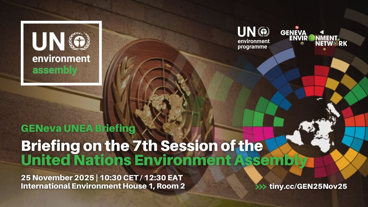 Briefing on the 7th Session of the United Nations Environment Assembly | GENeva UNEA Briefing