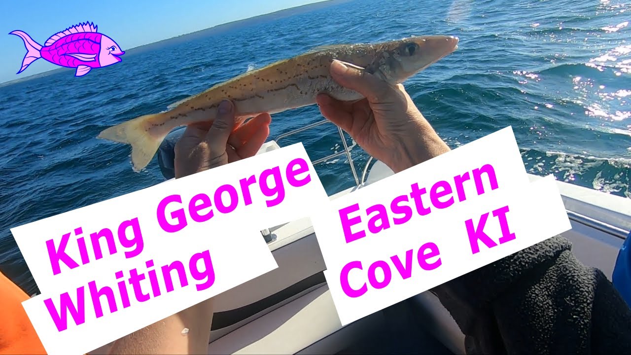 Fishing for King George whiting off the Eastern Cove, Kangaroo Island