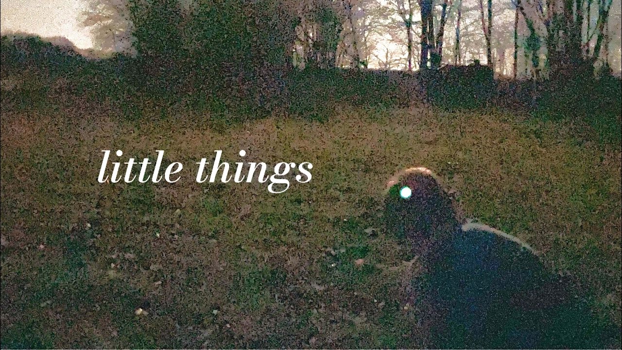 Will Tritt - little things (Official Lyric Video)