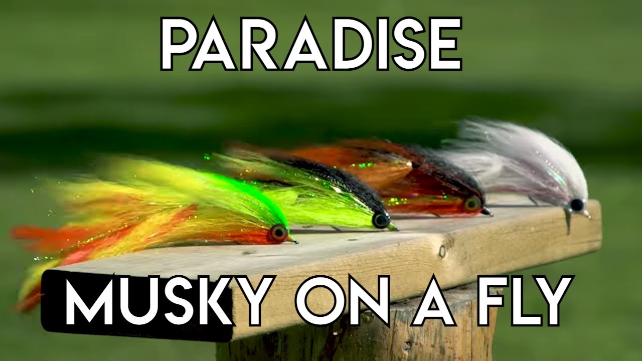 Paradise Cove Musky on a Fly