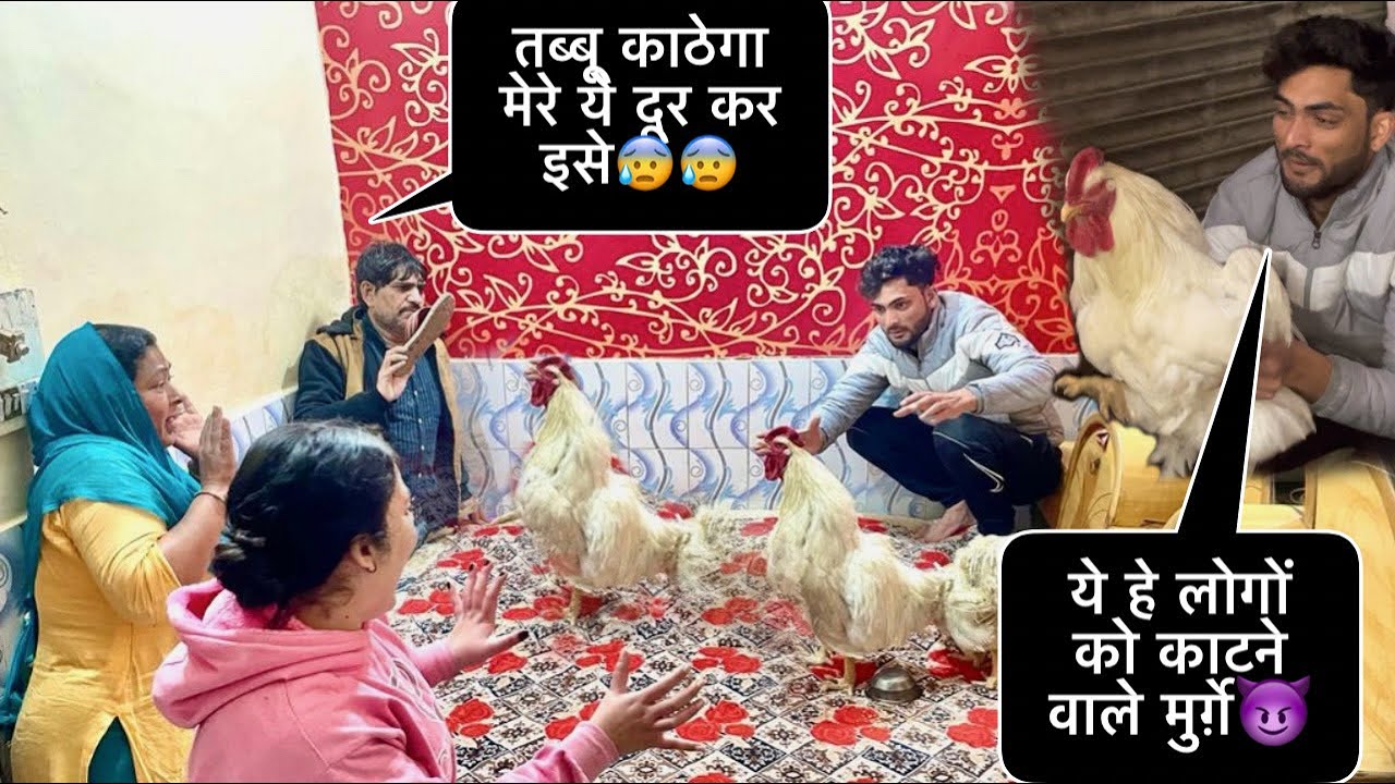 पापा को मुर्ग़ों 🐓ने काट लिया Prank on my Family gone funny 😂😂 ||@tabishdiaries590