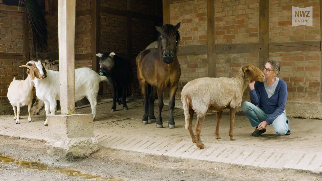 Hagelhof: Der Gnadenhof mit exotischen Tieren