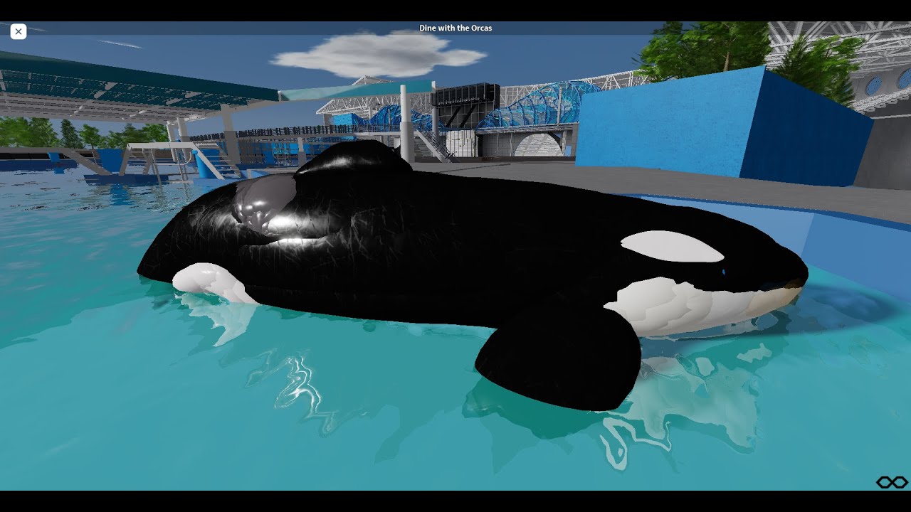 SeaWorld Orlando Roblox Inside Look- Orca Stadium | Crystal Waters Roblox