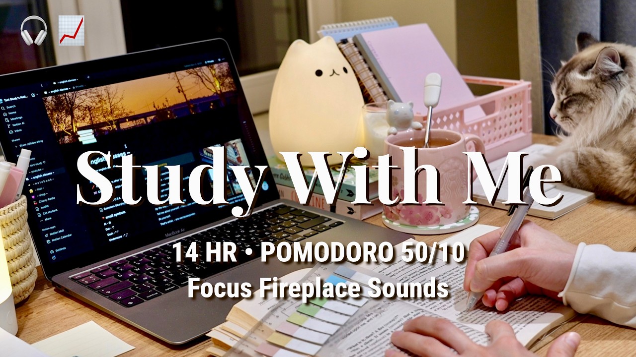 14 HR • STUDY WITH ME [Pomodoro 50/10] Focus study ambience, with Calm music breaks /countdown