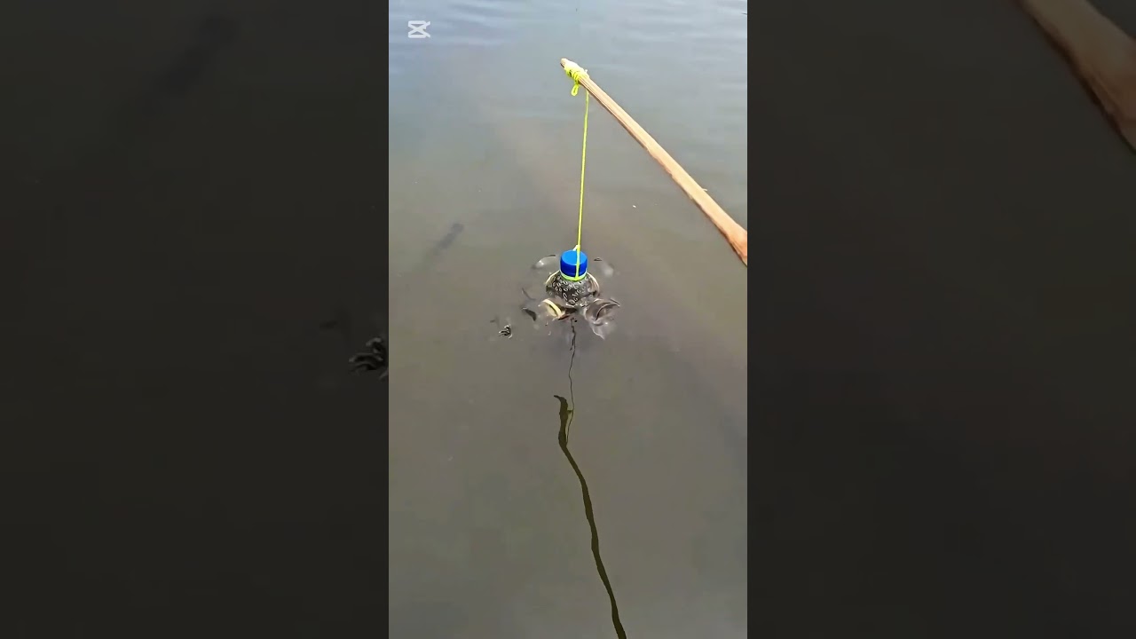 DIY Fishing Trap at Home ( Easy & Effective) Learn how to make a simple yet effective fishing trap🔥💯