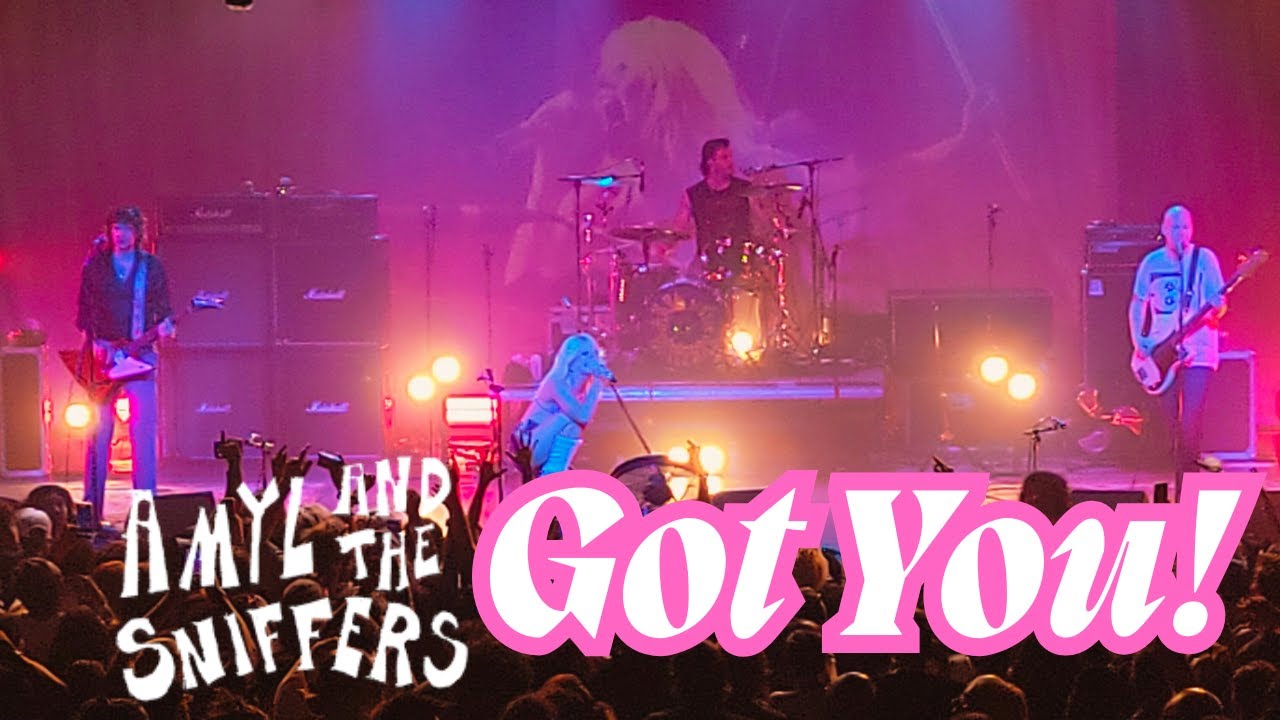AMYL AND THE SNIFFERS 