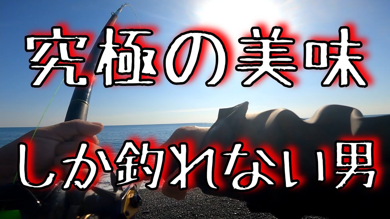 【両軸遠投カゴ釣り】七里御浜　最高の状況でカツオ狙い