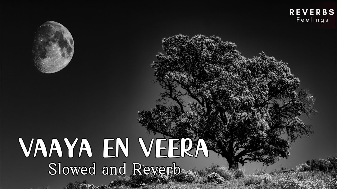 Vaaya En Veera | Slowed and Reverb | Raghava Lawrence | Taapsee | Shakthisree | Tamil Lofi