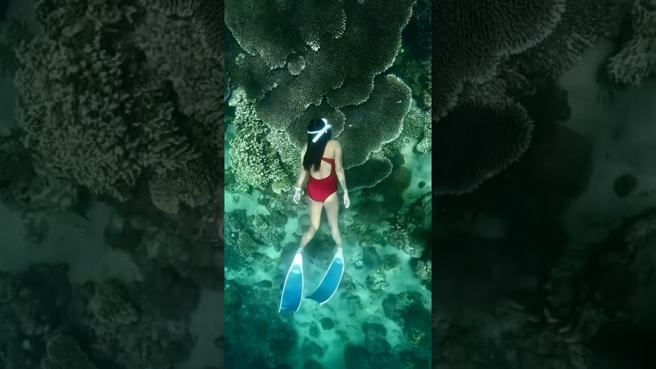 Crazy #freediving #freedivingvideo