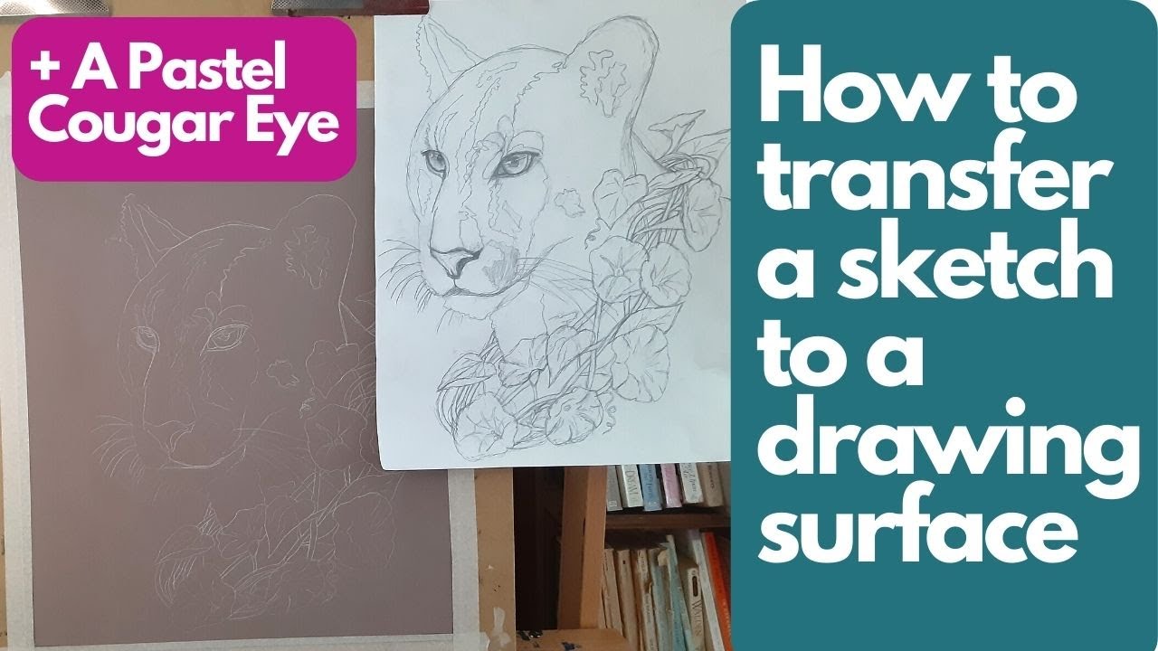 Easily Transfer Your Sketch- and Pastel Drawing of Cougar's Eye!