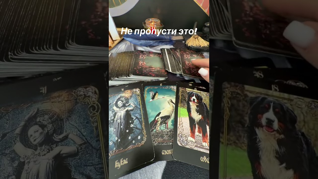 Не пропусти это #таро 