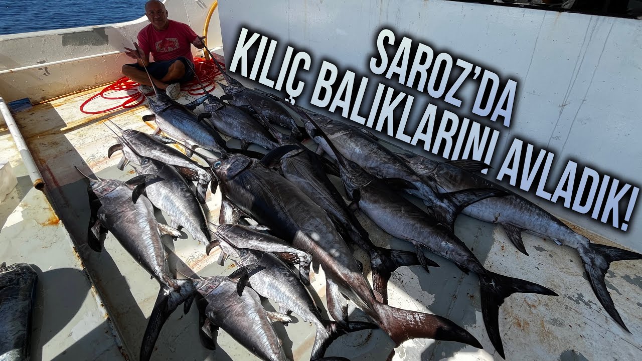 DEV KILIÇ BALIĞI İLE MÜCADELE! | SAROZ KÖRFEZİ'NDE KILIÇ BALIKLARINI AVLADIK!
