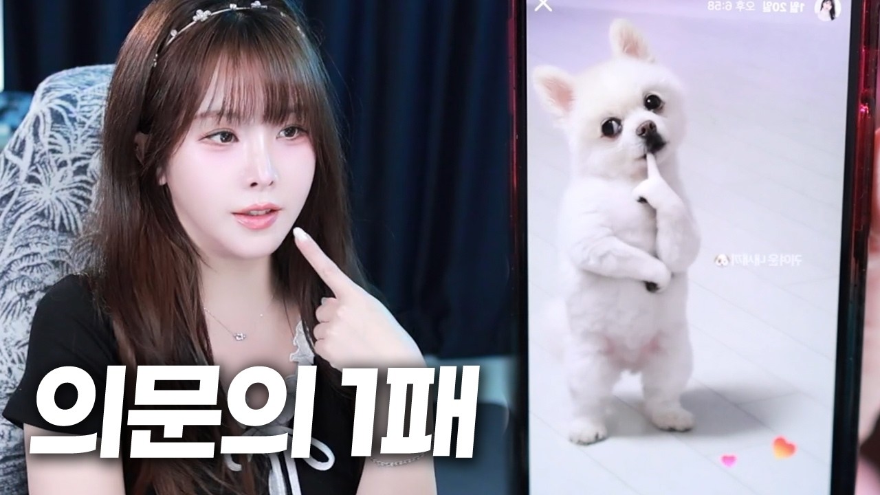 리액션하다가 개만도 못한 이설 상황ㅋㅋ
