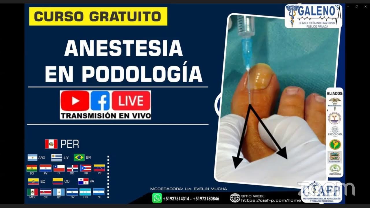 🔴𝗖𝗨𝗥𝗦𝗢 𝗚𝗥𝗔𝗧𝗨𝗜𝗧𝗢 ➡️ 𝐀𝐍𝐄𝐒𝐓𝐄𝐒𝐈𝐀 𝐄𝐍 𝐏𝐎𝐃𝐎𝐋𝐎𝐆𝐈́𝐀