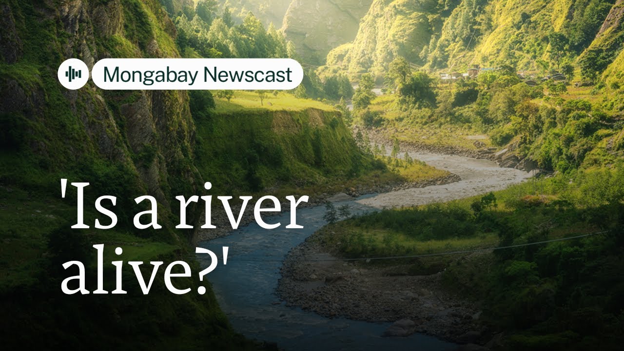 Author Robert Macfarlane asks 'is a river alive?'