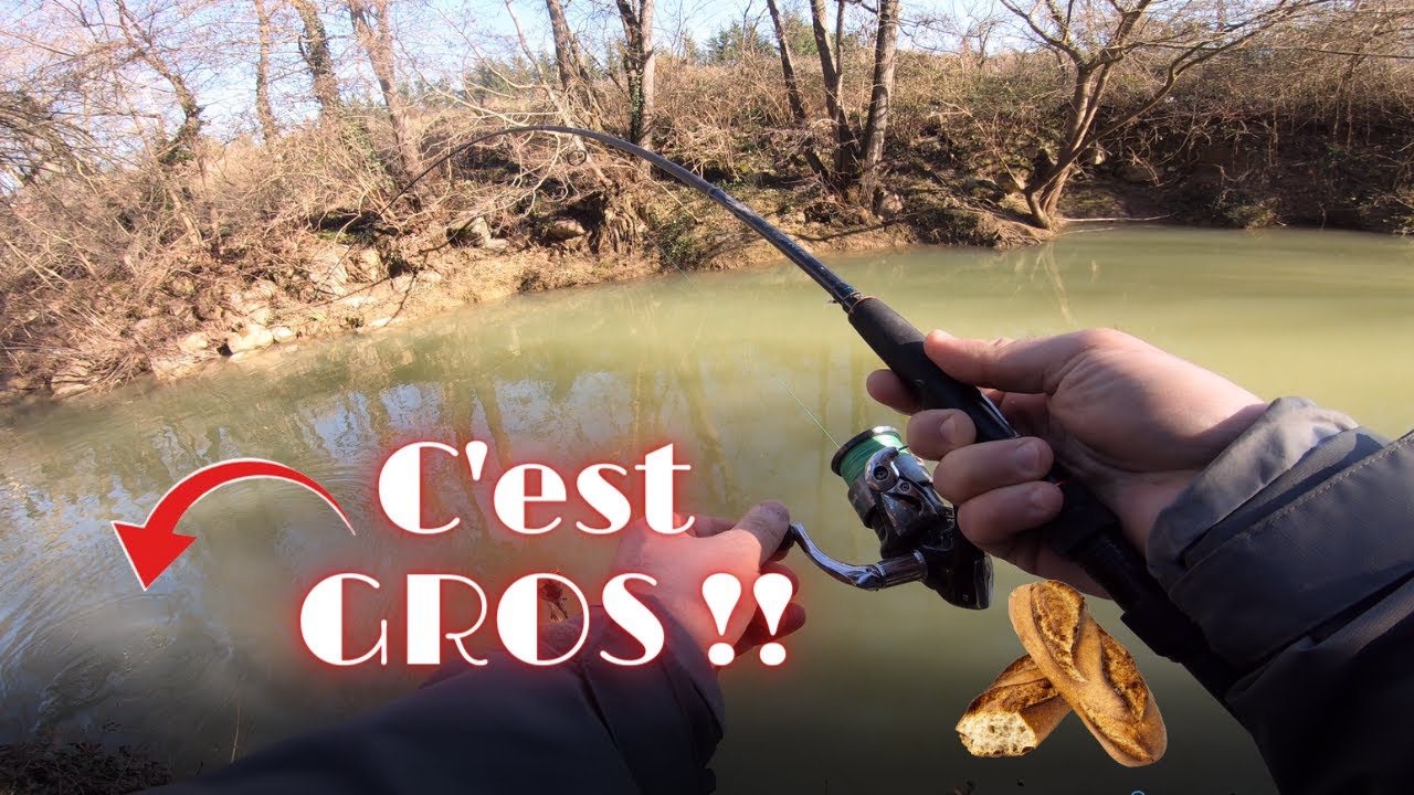 La MEILLEURE façon DE FAIRE DU POISSON en HIVER au PAIN (CARPES et CHEVESNES)