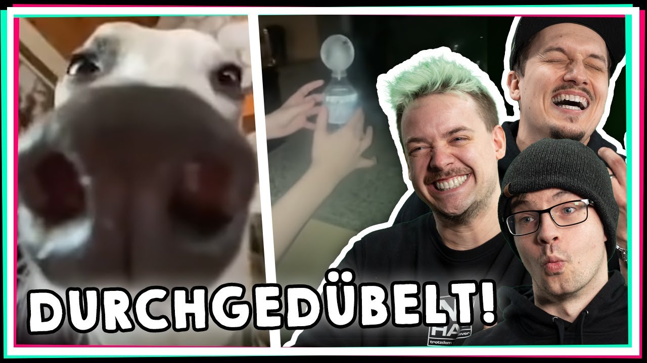RICHTIG EINEN DURCHGEDÜBELT, ALTER! | Unusual Memes 164 - Reaktion