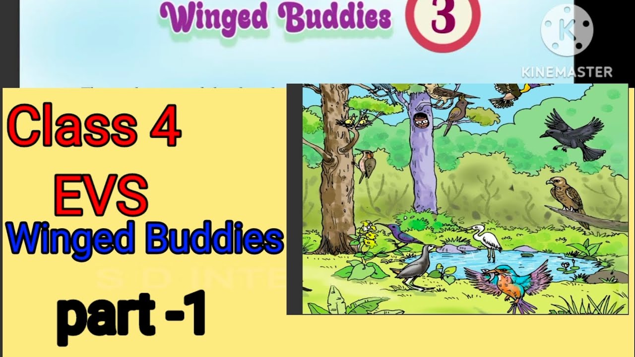 Winged Buddies/Class 4/EVS / SCERT 