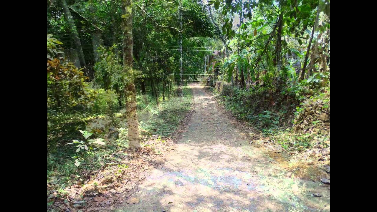 Property Kottayam Pala Rubber Estate