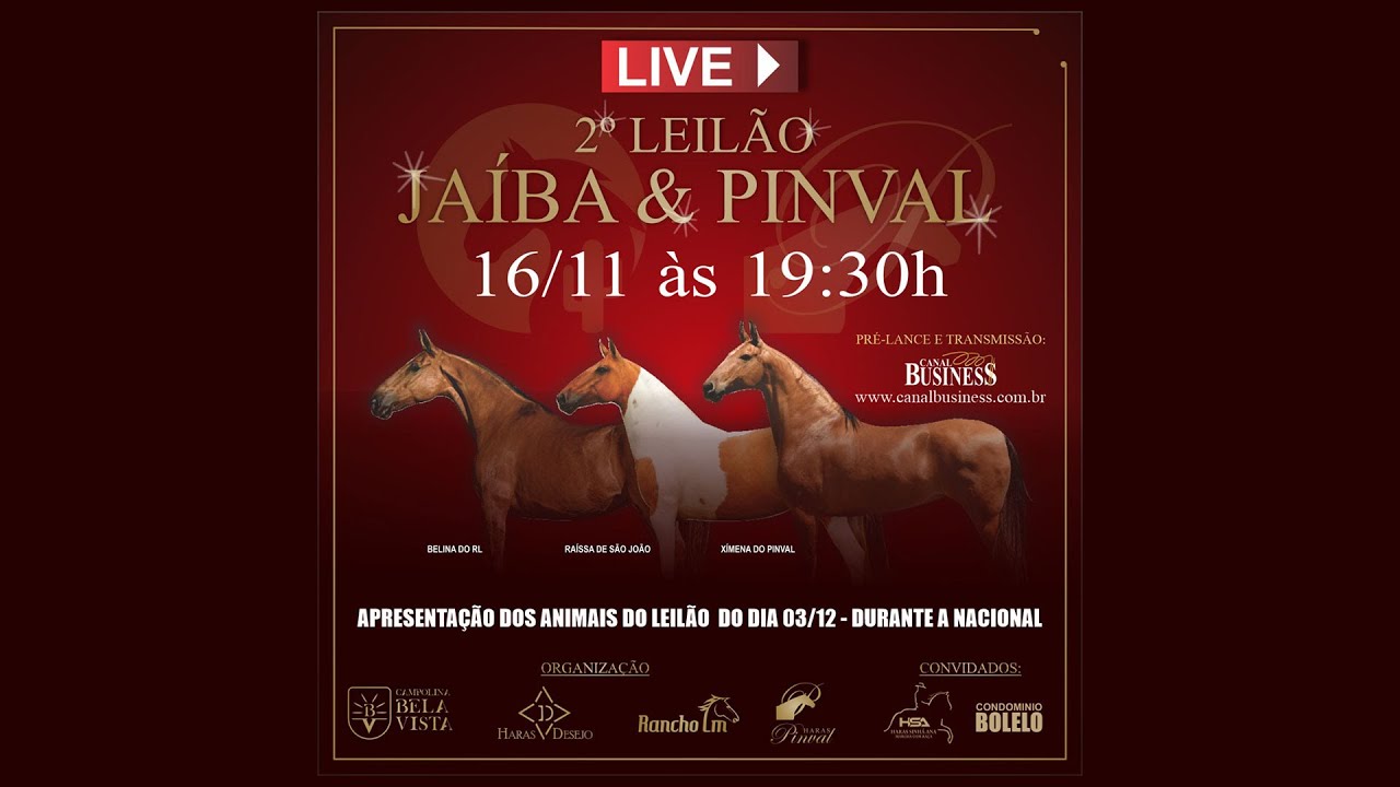 16/11/2021 - LIVE DE APRESENTAÇÃO: 2º LEILÃO JAÍBA & PINVAL