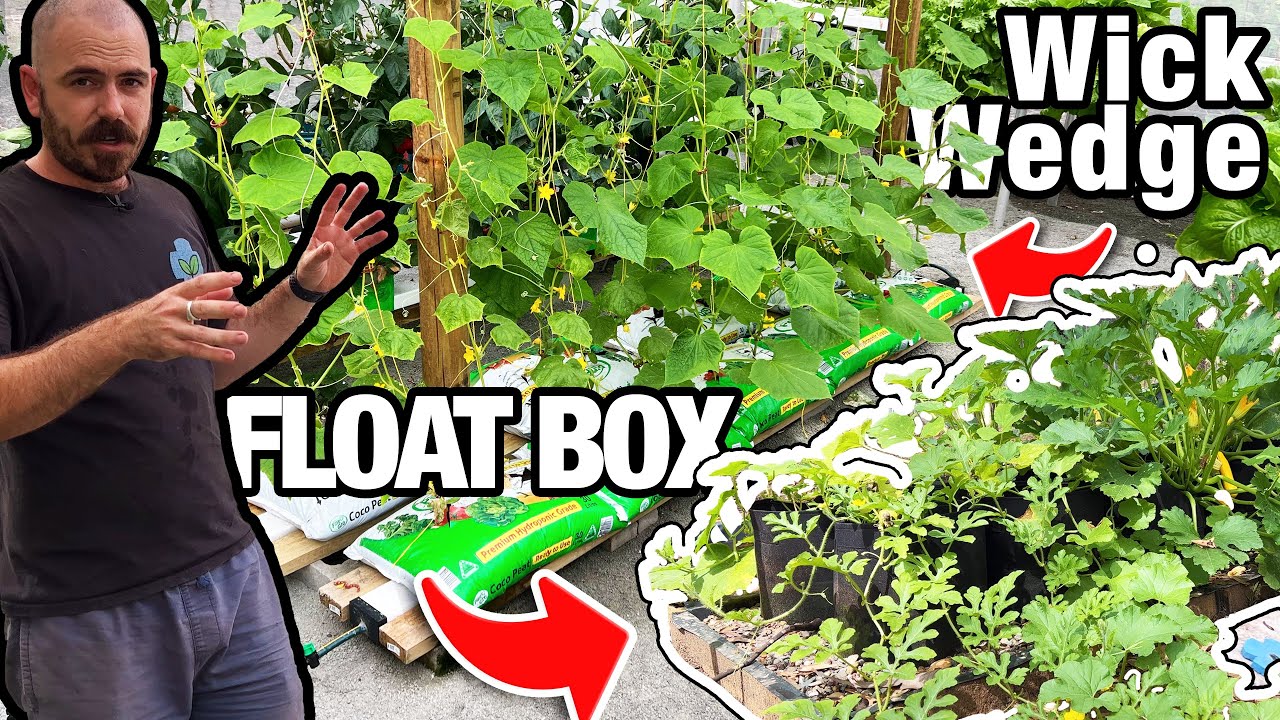 Обновление гидропонной системы Float Box & Wick Wedge