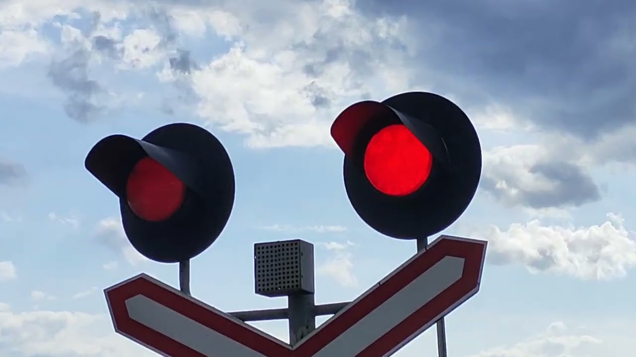 ЖД ПЕРЕЕЗД В БЕЛАРУСИ 🇧🇾 4.8.2024 (ЗА РОЖАНКОЙ) 69 ЧАСТЬ, ПОЕЗДА НА О.П. БОБРЫ 12 ЧАСТЬ