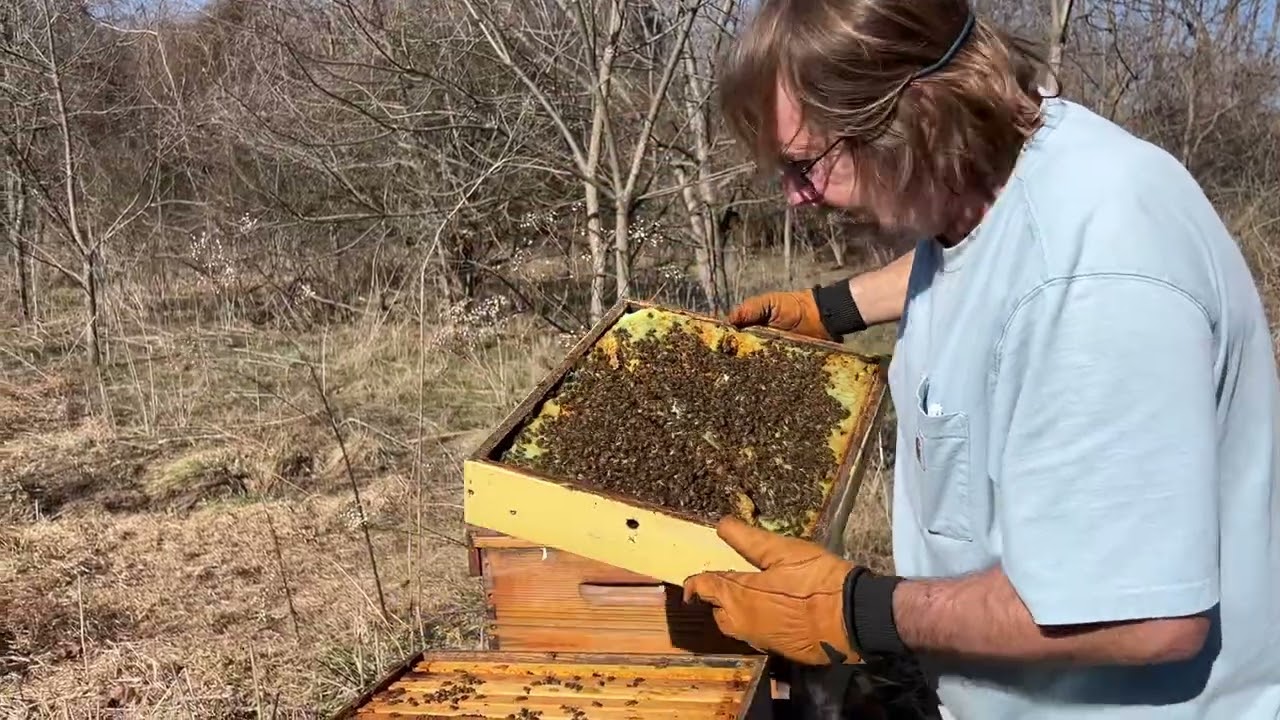 February 27, 2026 going around checking our hives