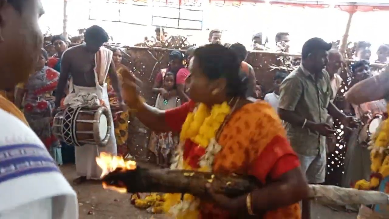 punnaivanam servaran Kovil பாலமுருகன் அப்பாவின் நையாண்டி மேளம் (2)