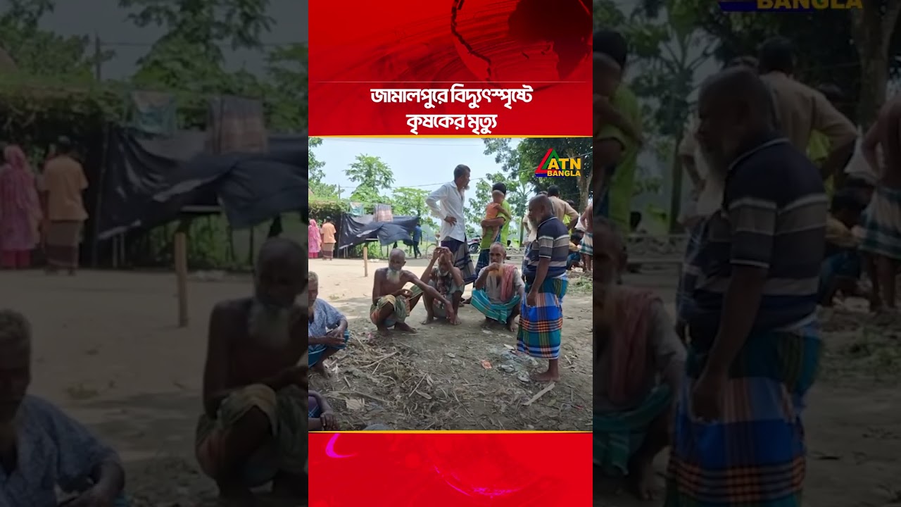 জামালপুরে বিদ্যুৎস্পৃষ্টে কৃষকের মৃ/ত্যু | ATN Bangla News
