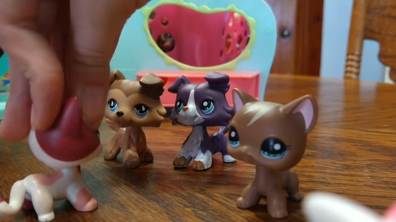 Lps: Moving to new York Season 1 Ep 1: Hard beginnings