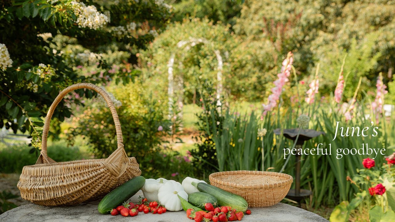 Reconnecting with my Garden in it's Final Days of June| Slow & Peaceful