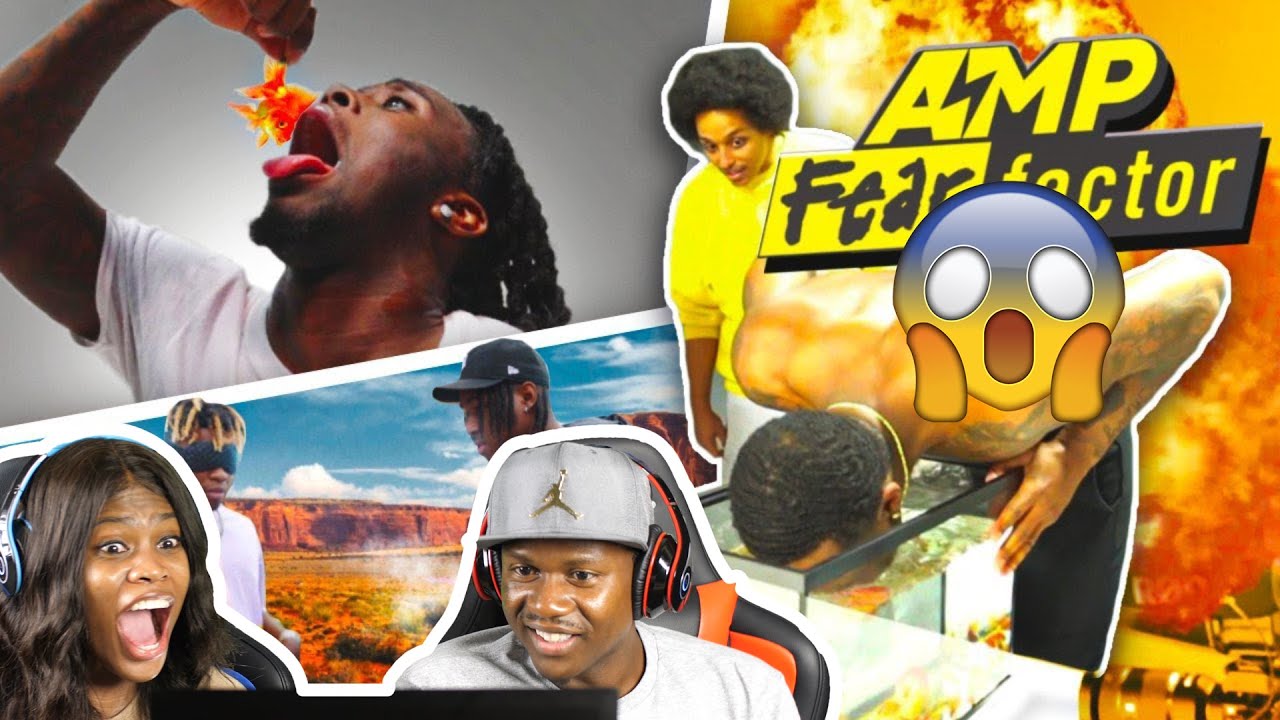 AMP FEAR FACTOR 😧 (REACTION)