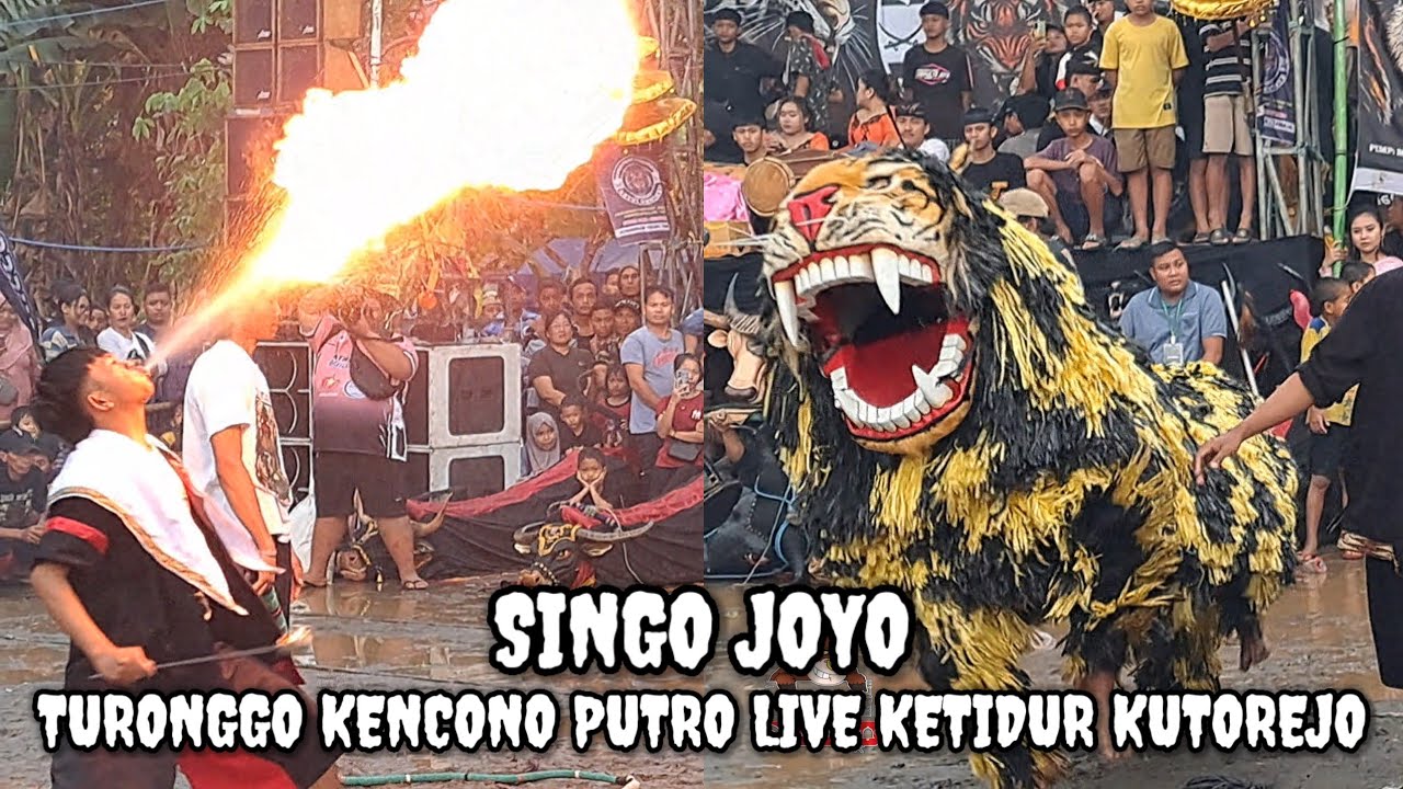 SINGO JOYO ‼️ TURONGGO KENCONO PUTRO LIVE KETIDUR KUTOREJO MOJOKERTO 
