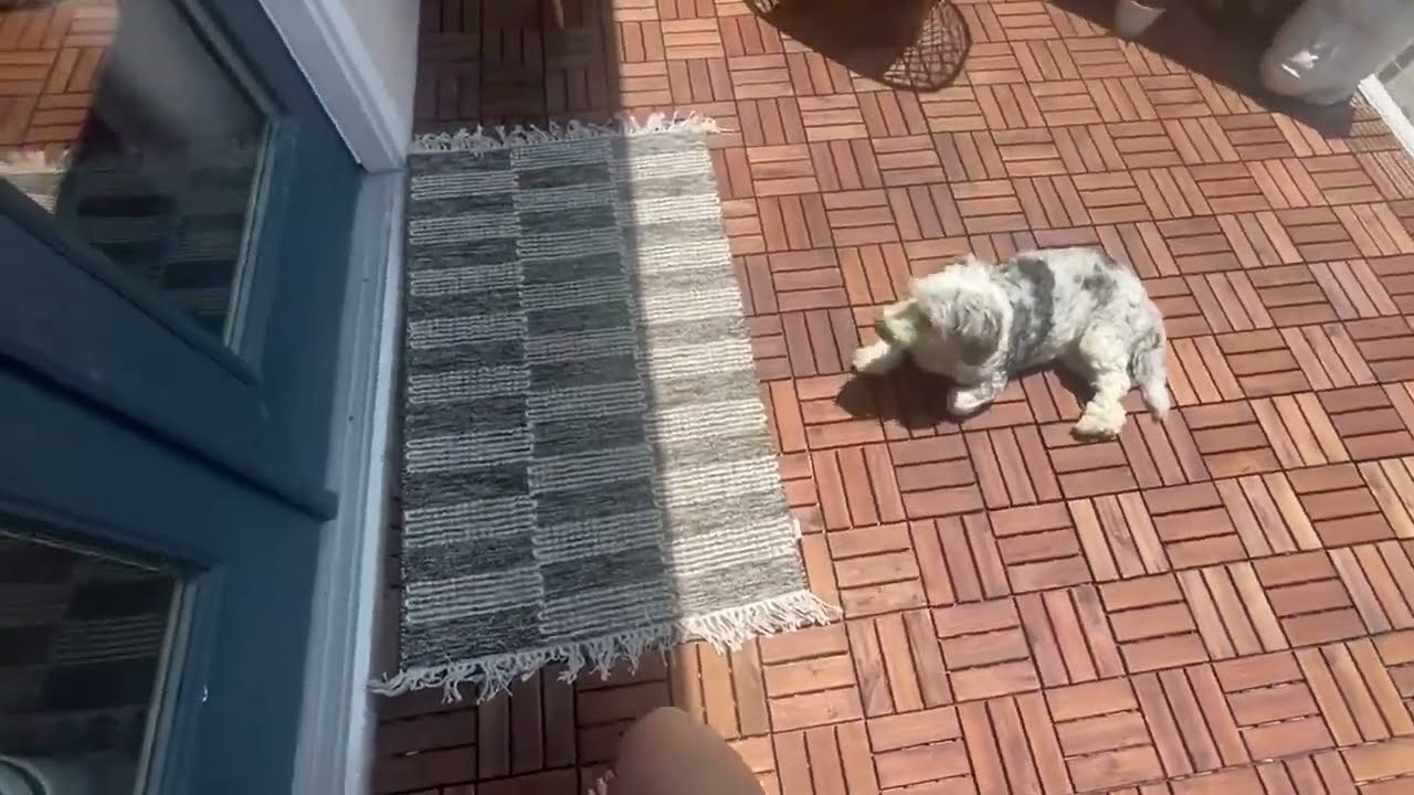 Honest review of Interbuild Acacia Interlocking Deck Tiles