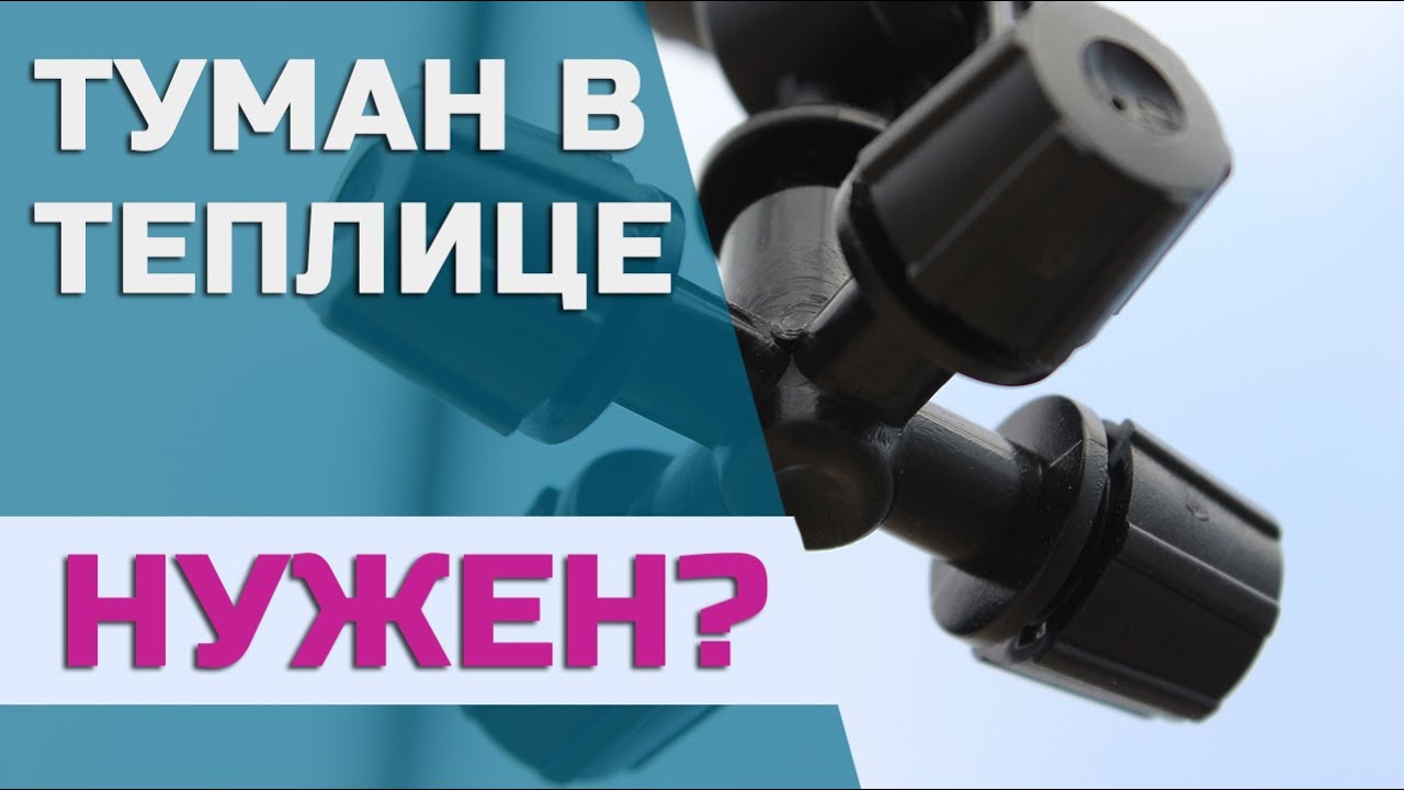 Туман в теплице 🌫️ Для чего нужно туманнообразование