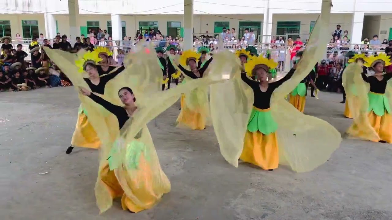 Panagbenga Festival: 7 Da Vinci (Link of the music is on the comment section)