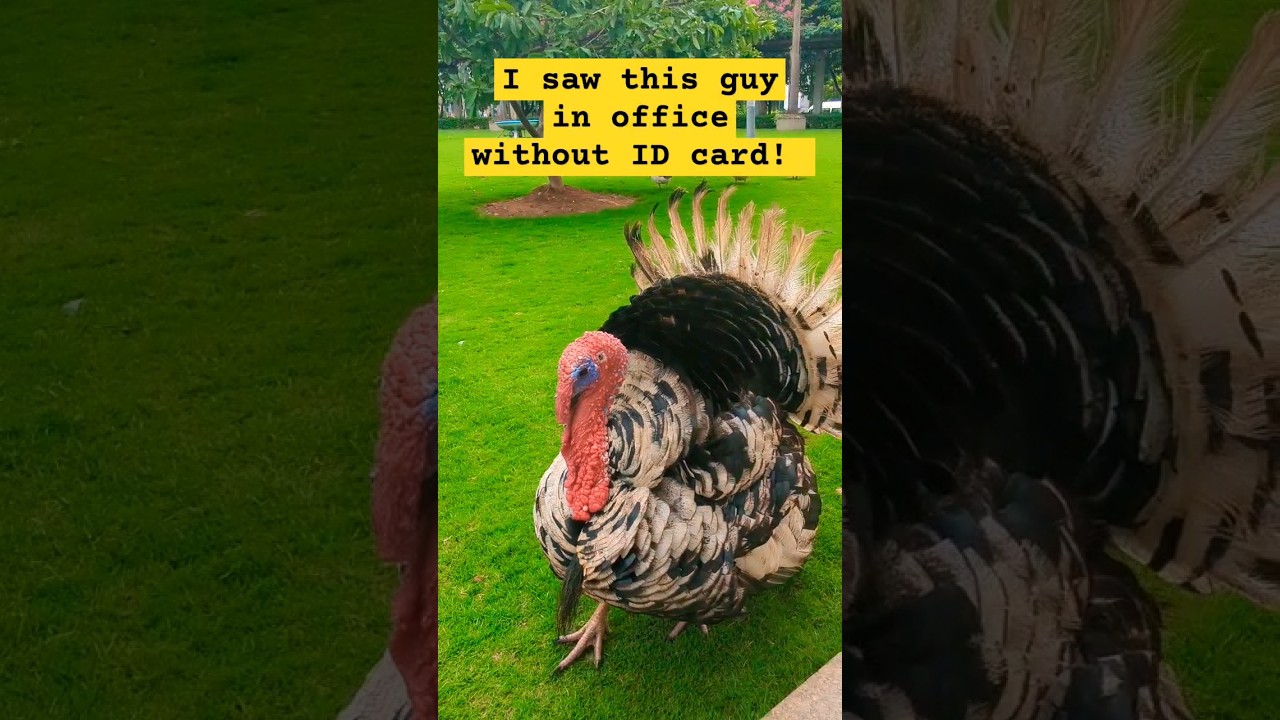 On questioning him he started running away. 